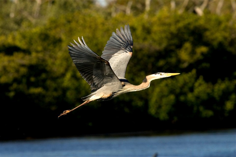 Having a beautiful flight!