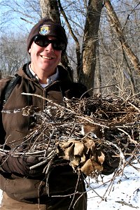 Winona District Wildlife Refuge Specialist Brian Pember holds a great blue heron nest from a nesting tree that fell down.

CREDIT: FWS – Stefanski