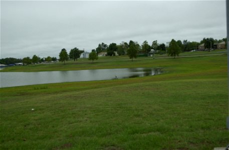 Great Blue Heron in habitat Finally! I got a picture of a Great Blue Heron!! :D its not very clear though... photo