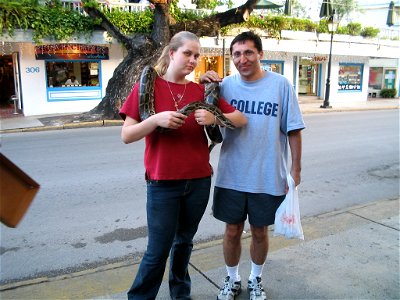 Python molurus and the turist photo