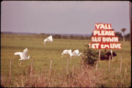 SIGN photo