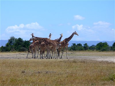 I took this photo myself, near Nanyuki, Kenya.