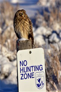 Photo: Tom Koerner/USFWS

<a href="https://www.facebook.com/Seedskadee/" rel="nofollow">www.facebook.com/Seedskadee/</a>