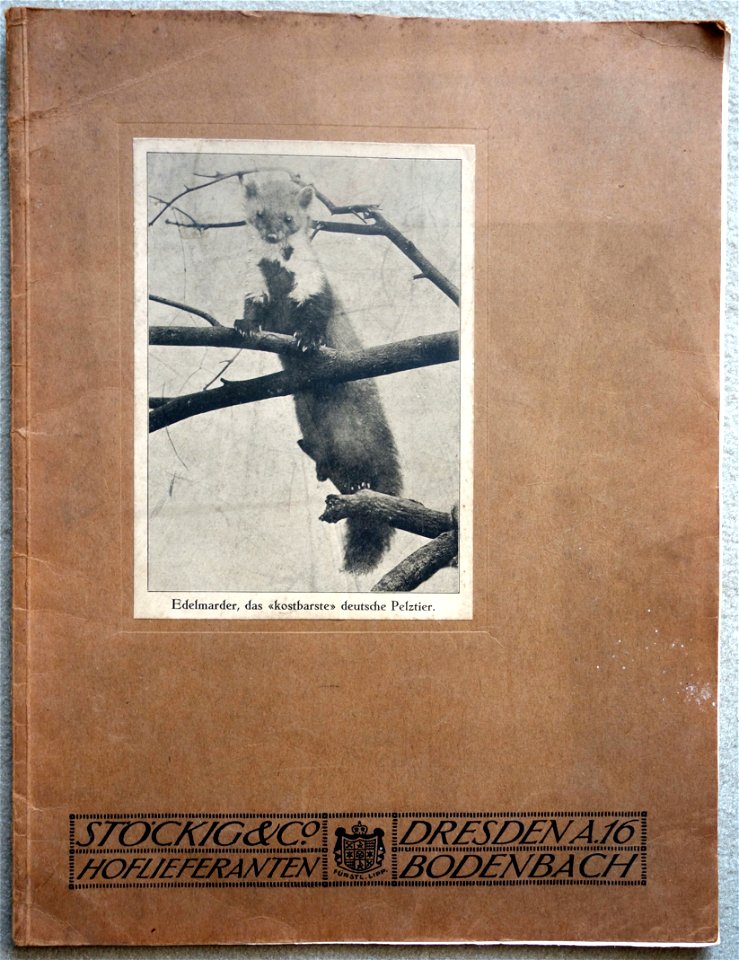 Stöckig & Co., Dresden, Pelzmode-Katalog, wahrscheinlich 1912. Buchdeckel.