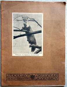 Stöckig & Co., Dresden, Pelzmode-Katalog, wahrscheinlich 1912. Buchdeckel.