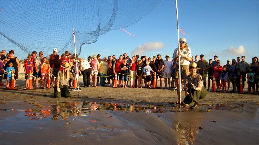 2010 Kemp's ridley sea turtle project at Padre Island National Seashore (for NRC)