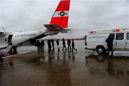 LINCOLN, Mass. -- Volunteers and staff from the New England Aquarium, Hanscom Air Force Base and Coast Guard work to load endangered Kemp’s Ridley sea turtles into a Mobile, Ala.-based Coast Guard HC-