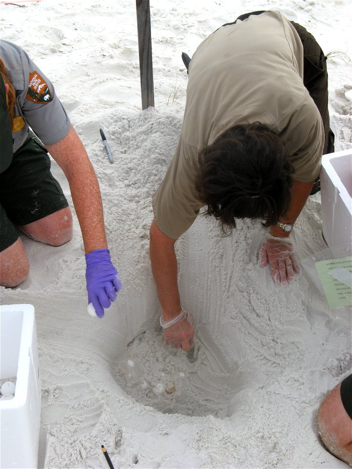 July 23, 2010 - Gulf Breeze, Florida.  Lorna Patrick, Deputy Project Leader of the U.S. Fish and Wildlife Service Panama City, Florida, Ecological Services and Fisheries Resources Office, (right) and 