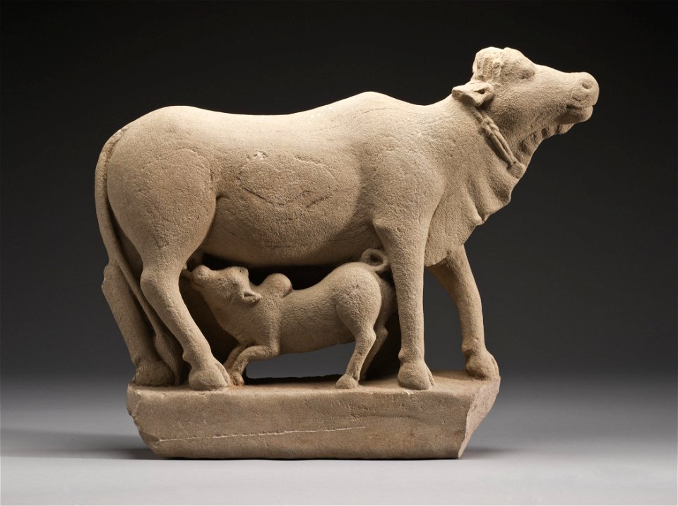 Cow and Calf
India, Uttar Pradesh, late 7th century
Sculpture
Sandstone
20 1/2 x 26 1/2 x 5 in. (52.07 x 67.31 x 12.7 cm)

Gift of Mr. and Mrs. Harry Lenart (M.73.87.2)