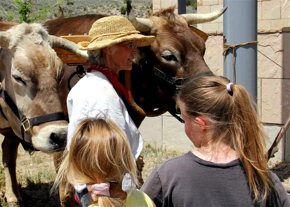 Bull-whackin' Kass was on hand with her team of live oxen to show visitors the largeness of these beasts of burden. The Grand Opening of the California Trail Interpretive Center to year-round operatio