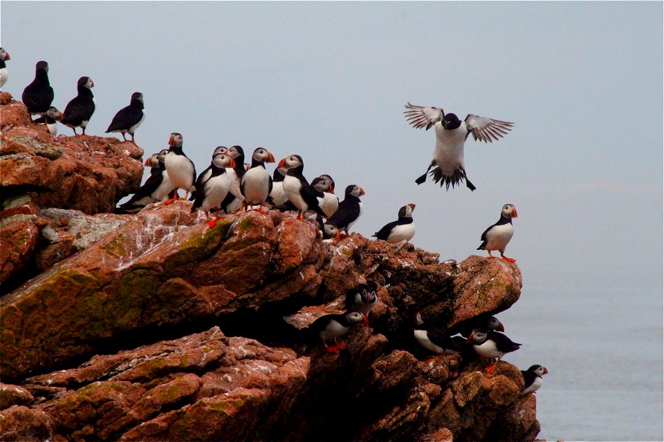 Credit: Rosie Walunas/USFWS