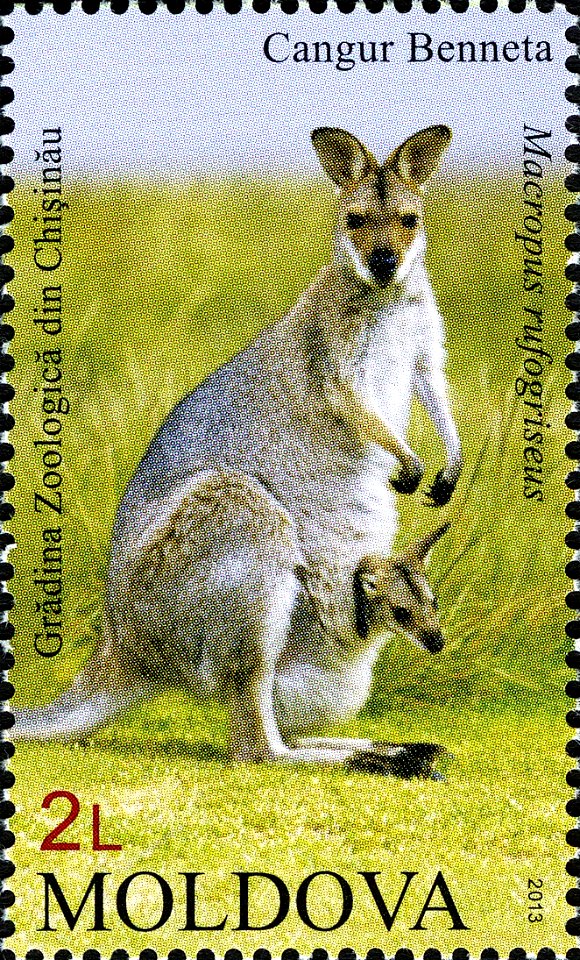 Stamps of Moldova, 2013