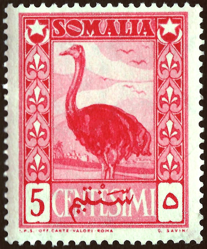 Stamp of Italian Somaliland (AFIS-area); 1950;  definitive stamp of the "Serie pittocica" ("African subjects); stamp motive with a Somali Ostrich ("Struthio molybdophanes"); mint stamp
: Michel: No. 2