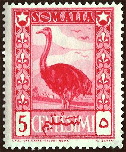 Stamp of Italian Somaliland (AFIS-area); 1950; definitive stamp of the "Serie pittocica" ("African subjects); stamp motive with a Somali Ostrich ("Struthio molybdophanes"); mint stamp : Michel: No. 2 photo