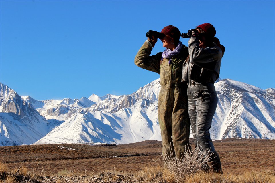 Kary Schlick, Inyo National Forest Wildlife Biologist, and volunteer, Rowan Baker, UCLA Science and International Development, glass the flight path as sage-grouse disperse from the lek, Long Valley, 