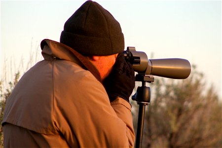 Each spring, remote areas in Oregon's sagebrush steppe attract scores of greater sage grouse (Centrocercus urophasianus) for elaborate mating rituals. These areas - called leks - provide wildlife biol