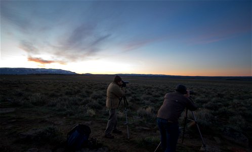 Each spring, remote areas in Oregon's sagebrush steppe attract scores of greater sage grouse (Centrocercus urophasianus) for elaborate mating rituals. These areas - called leks - provide wildlife biol