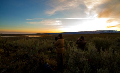 Each spring, remote areas in Oregon's sagebrush steppe attract scores of greater sage grouse (Centrocercus urophasianus) for elaborate mating rituals. These areas - called leks - provide wildlife biol