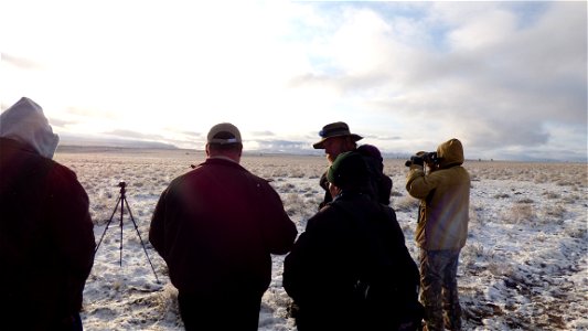 On Saturday, April  8, 2017, the Bureau of Land Management invited the public to a guided viewing of the Greater Sage-Grouse springtime courtship rituals.  The field trip departed from the BLM’s Lakev