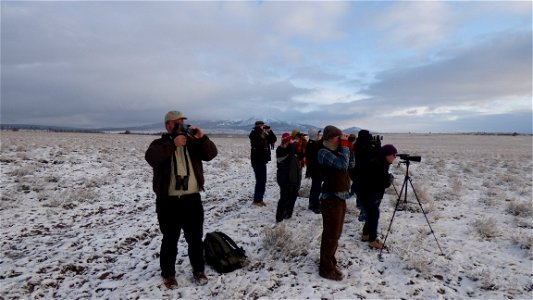 On Saturday, April  8, 2017, the Bureau of Land Management invited the public to a guided viewing of the Greater Sage-Grouse springtime courtship rituals.  The field trip departed from the BLM’s Lakev