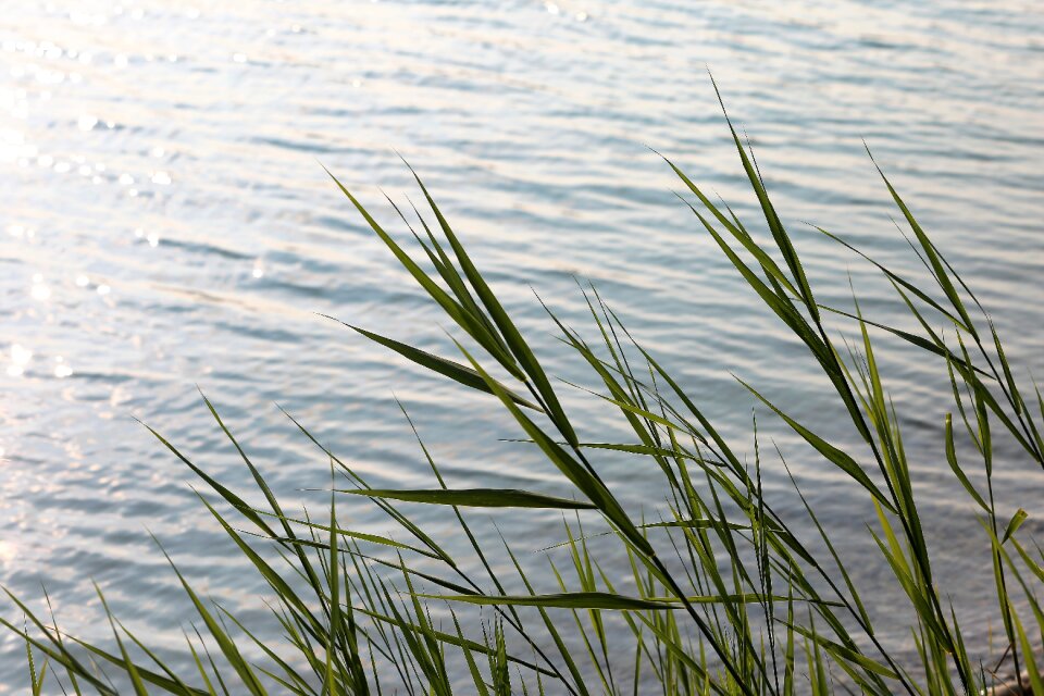 Wind mood reflection