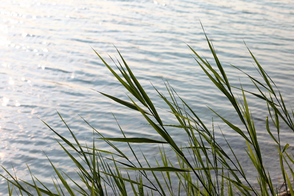 Wind mood reflection photo