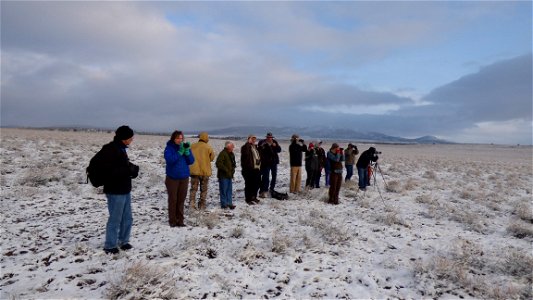On Saturday, April  8, 2017, the Bureau of Land Management invited the public to a guided viewing of the Greater Sage-Grouse springtime courtship rituals. The field trip departed from the BLM’s Lakevi