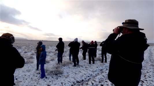 On Saturday, April  8, 2017, the Bureau of Land Management invited the public to a guided viewing of the Greater Sage-Grouse springtime courtship rituals. The field trip departed from the BLM’s Lakevi