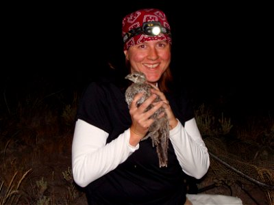 Dawn is a U.S. Fish and Wildlife Service wildlife biologist at the Pacific Regional Office in Portland.  She first began working with sage-grouse in 1998 and has collaborated on projects in Nevada, Ca