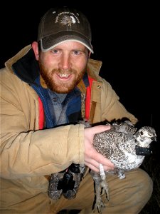 University of Montana field technician Brandon Sandau holding a newly radio-marked female sage-grouse. Roundup, MT study March 31, 2011. Credit photographer Shawna Sandau and University of Montana.