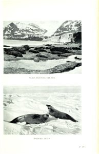 The south polar trail /