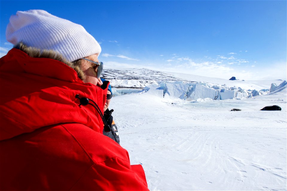 U.S. Secretary of State John Kerry looks at Weddell seals basking in the sun on the ice outside Scott Base, the New Zealand research station in the Antarctic, on November 12, 2016, after the Secretary