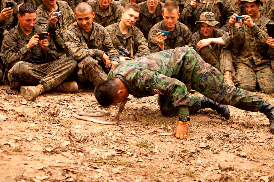 Royal Thai Marine Corps Sgt. Pairoj Prasarnsai kisses the head of a cobra during a jungle survival class part of exercise Cobra Gold 2013 Feb. 16 at Ban Chan Krem, Kingdom of Thailand. This year marks
