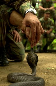 Ban Chan Khrem, Thailand (May 17, 2002) -- Marines assigned to Battalion Landing Team, 3rd Battalion, 5th Marine Regiment (BLT 3/5), the ground combat element of the 31st Marine Expeditionary Unit (ME