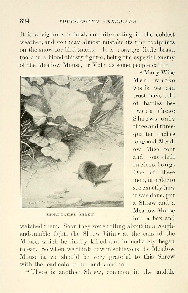 Four-footed Americans and their kin /  by Mabel Osgood Wright ; edited by Frank M. Chapman ; illustrated by Ernest Seton Thompson.