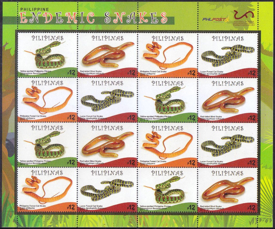 Endemic Snakes of the Philippines