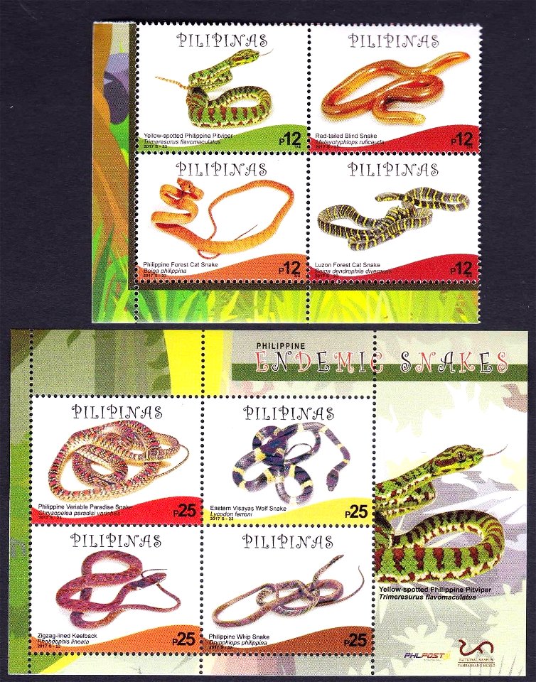 3rd Quarter Topical Issue: PHILIPPINE ENDEMIC SNAKES