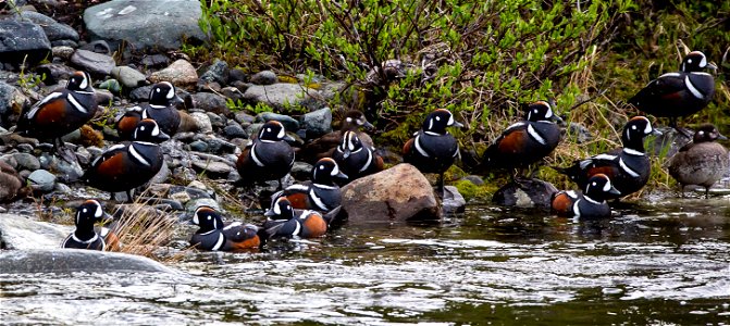 The Delta Wild and Scenic River Watershed originates south of the Denali Highway and includes all of the Upper and Lower Tangle Lakes, the Tangle River, and the Delta River. The Delta River drains nor