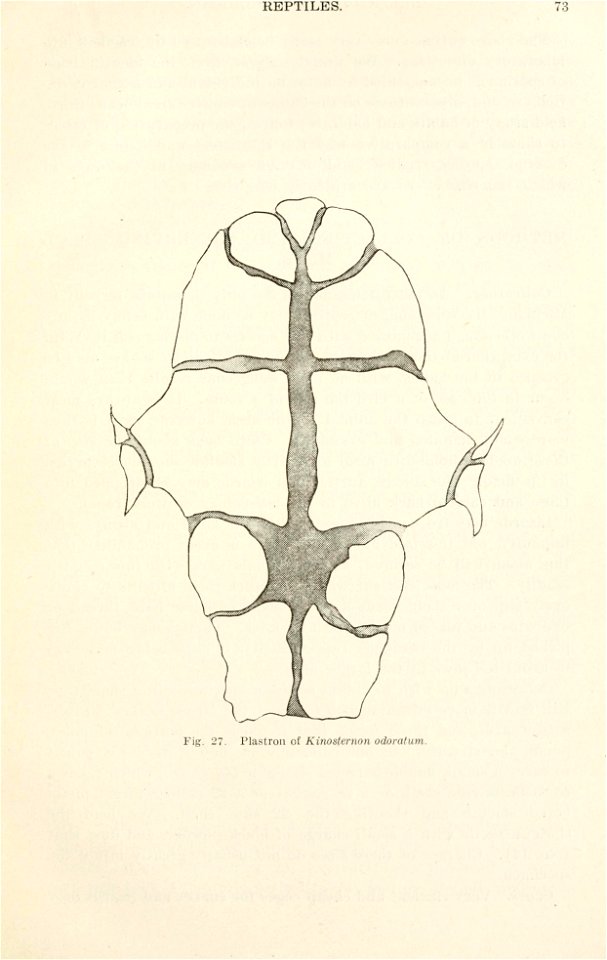 The herpetology of Michigan,
