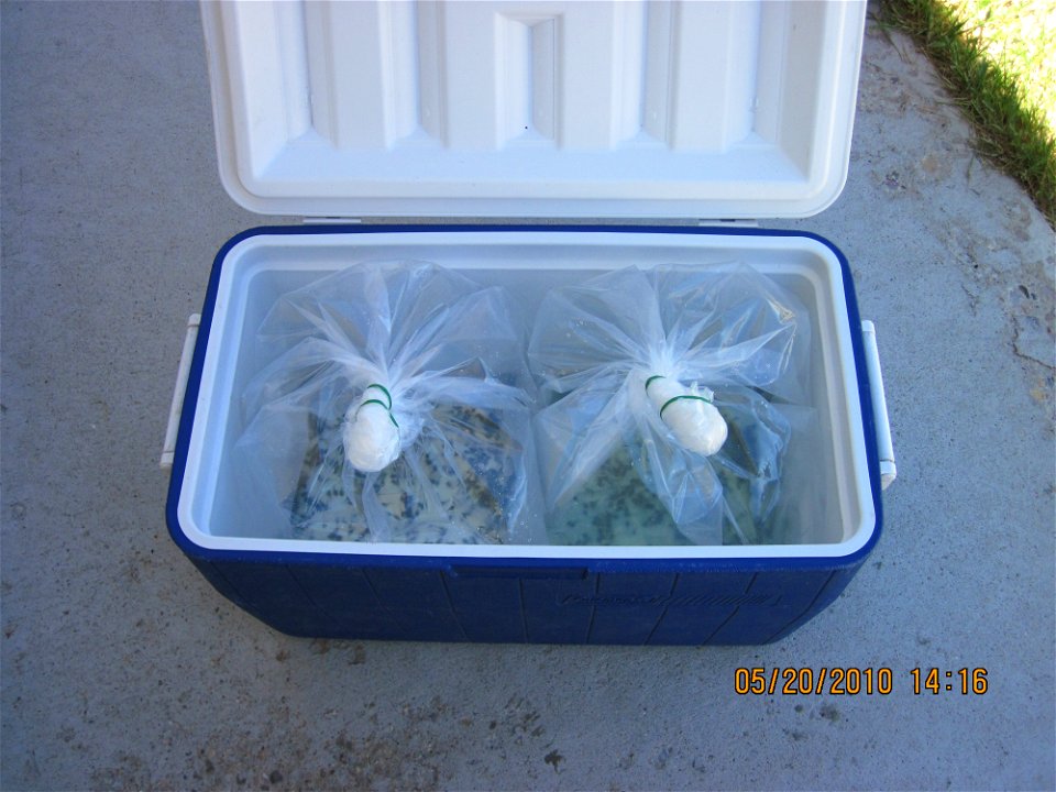 The tadpoles are shipped to various other breeding facilities around the country to be raised into adulthood.

Credit: USFWS