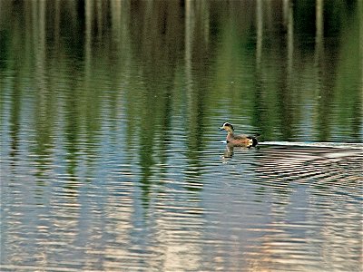 On the Water