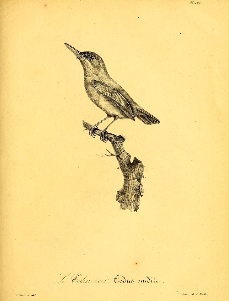 n. /2*. 
( ^ ^- .- 
P.Ou-cùtrl «i/- 

/rA4.7 J,. i ,\rolt^.