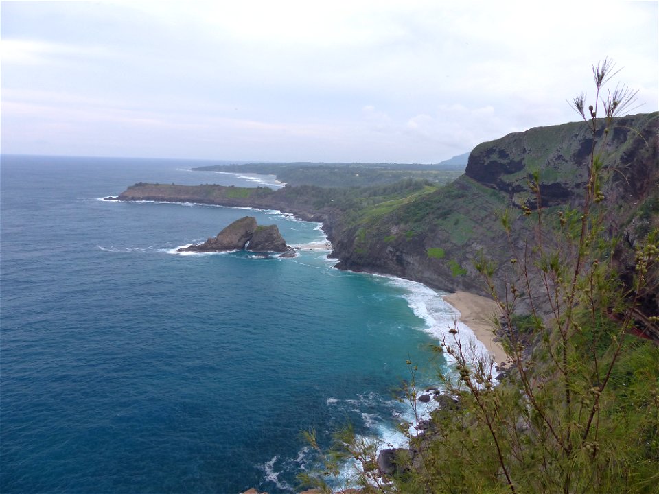 Endangered Hawaiian Petrels, or ʻUaʻu, are one of two seabird species endemic to the Hawaiian Islands and are found nowhere else on Earth. They have declined dramatically due to predation by introduce