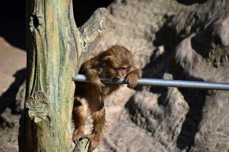 Zoo travel wild animal