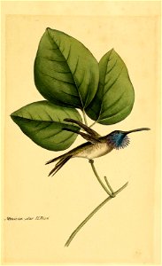 Meiccati rJ-^cf-r ff.Tyitfi