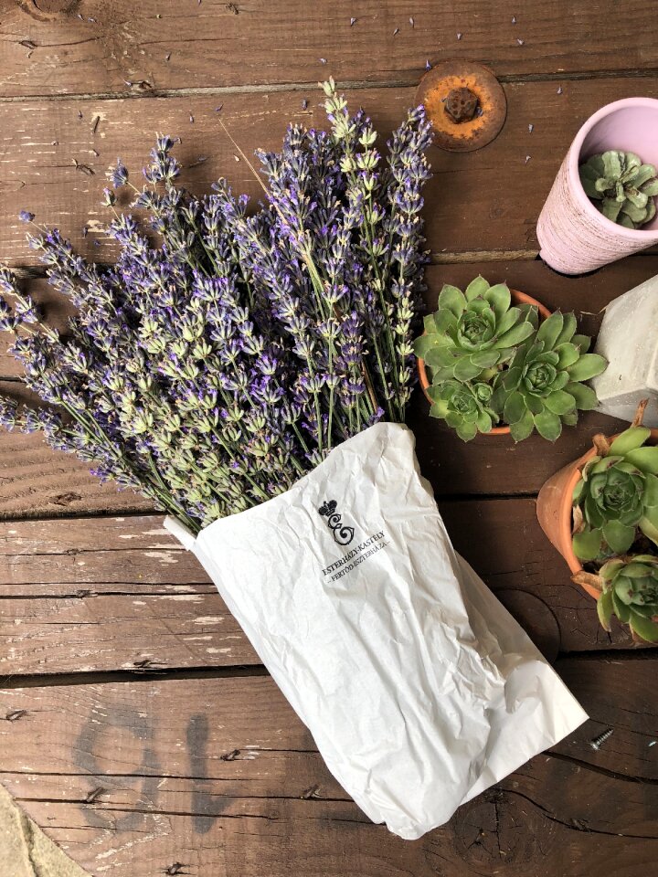 Purple garden fragrance