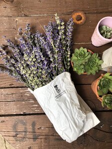 Purple garden fragrance