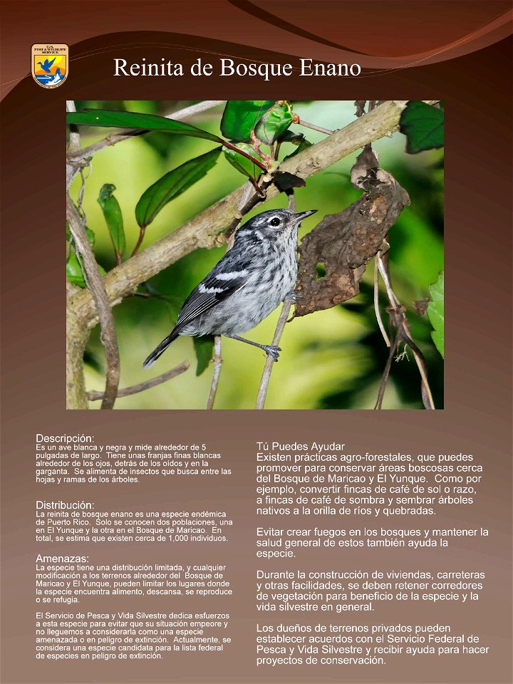One of the endangered species poster on the exhibition.