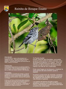 One of the endangered species poster on the exhibition.