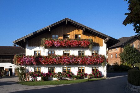 Geranium upper bavaria building